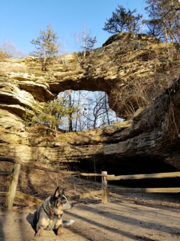 Arabella at Natural Bridge_WI - 20180401